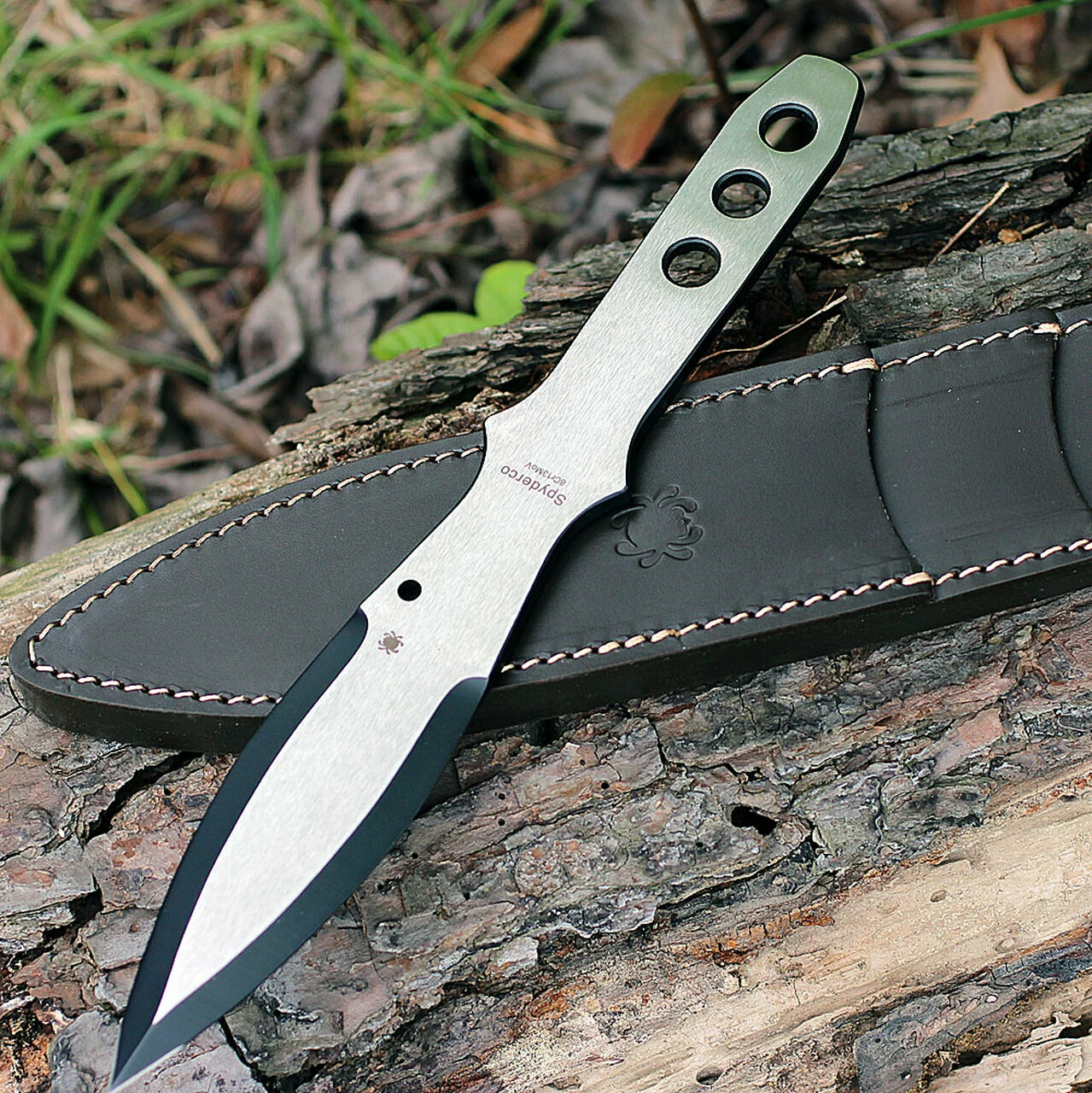 Best reviews of ⭐ Spyderco Knives Spyderco TK01LG Large SpyderThrowers, 11.07 in., Set of 3 ✨ 2 Best reviews of ⭐ Spyderco Knives Spyderco TK01LG Large SpyderThrowers, 11.07 in., Set of 3 ✨ - Image 2