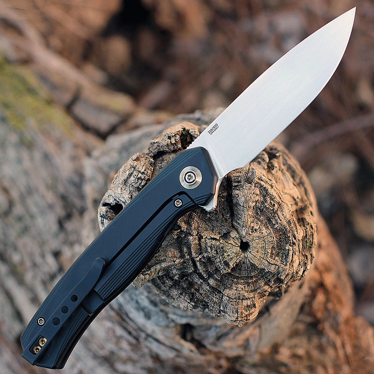 Best Sale 🎉 WE Knife Co. Seer - Black Ti (3.48" CPM-20CV) 20015-1 Limited Edition 🔔 2 Best Sale 🎉 WE Knife Co. Seer - Black Ti (3.48" CPM-20CV) 20015-1 Limited Edition 🔔 - Image 2