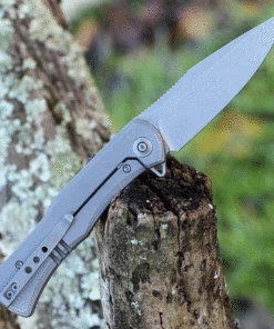 Hot Sale ⌛ We Knife Co. WE Knife Primoris Gray Ti (3.5" CPM 20CV Gray SW) 20047A-1 ⌛ -Automatic Knives shop we20047a 1 20066.1632324973